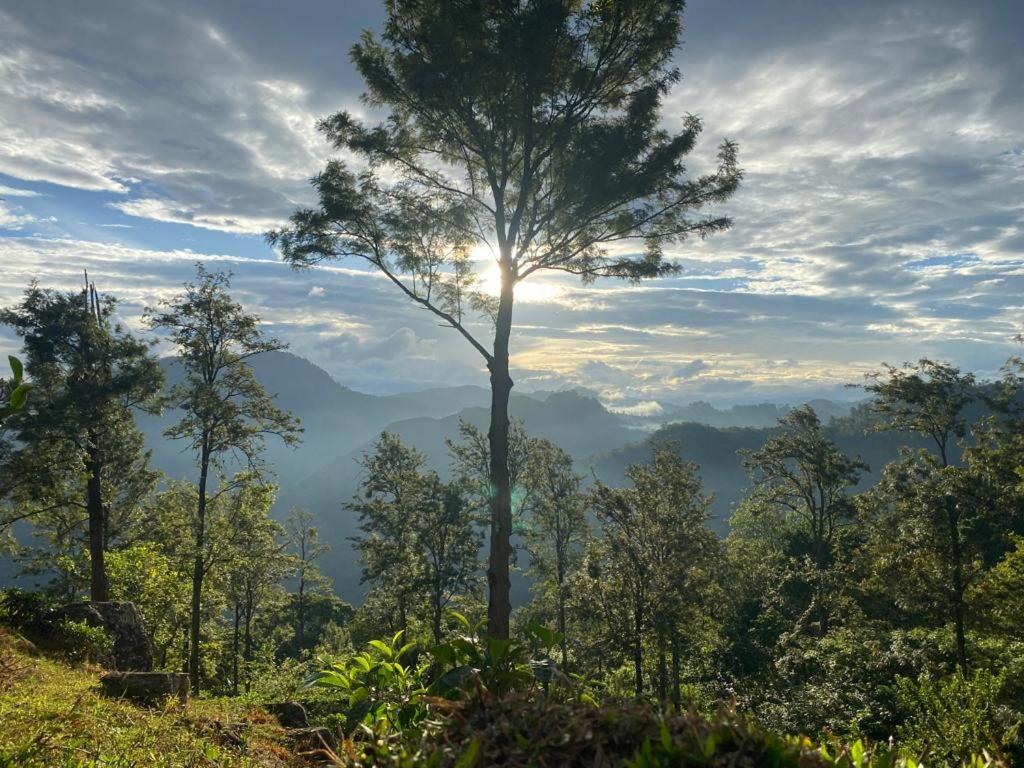 Dew Drop Resort Ella Ngoại thất bức ảnh