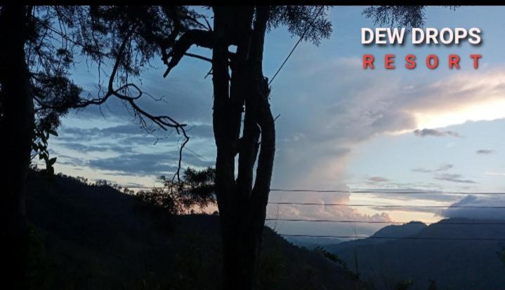 Dew Drop Resort Ella Ngoại thất bức ảnh