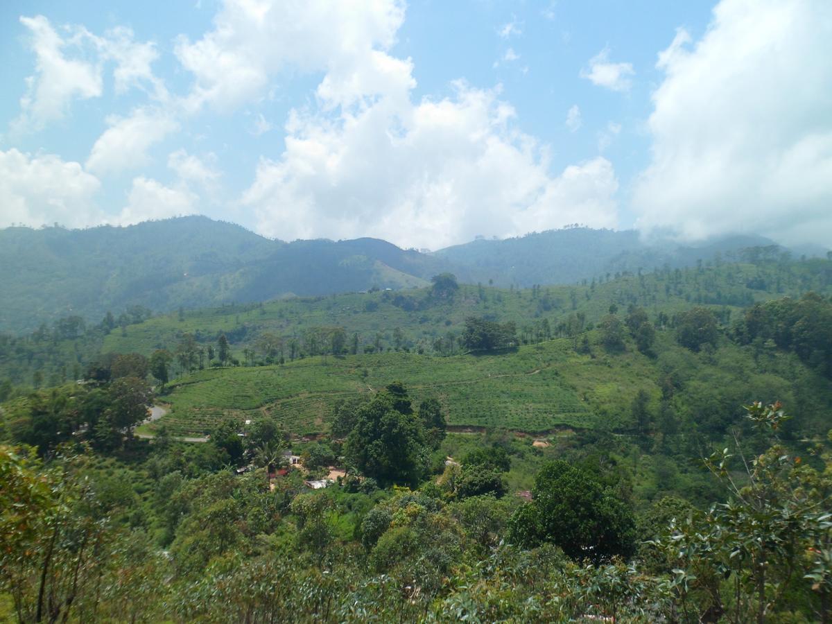 Dew Drop Resort Ella Ngoại thất bức ảnh
