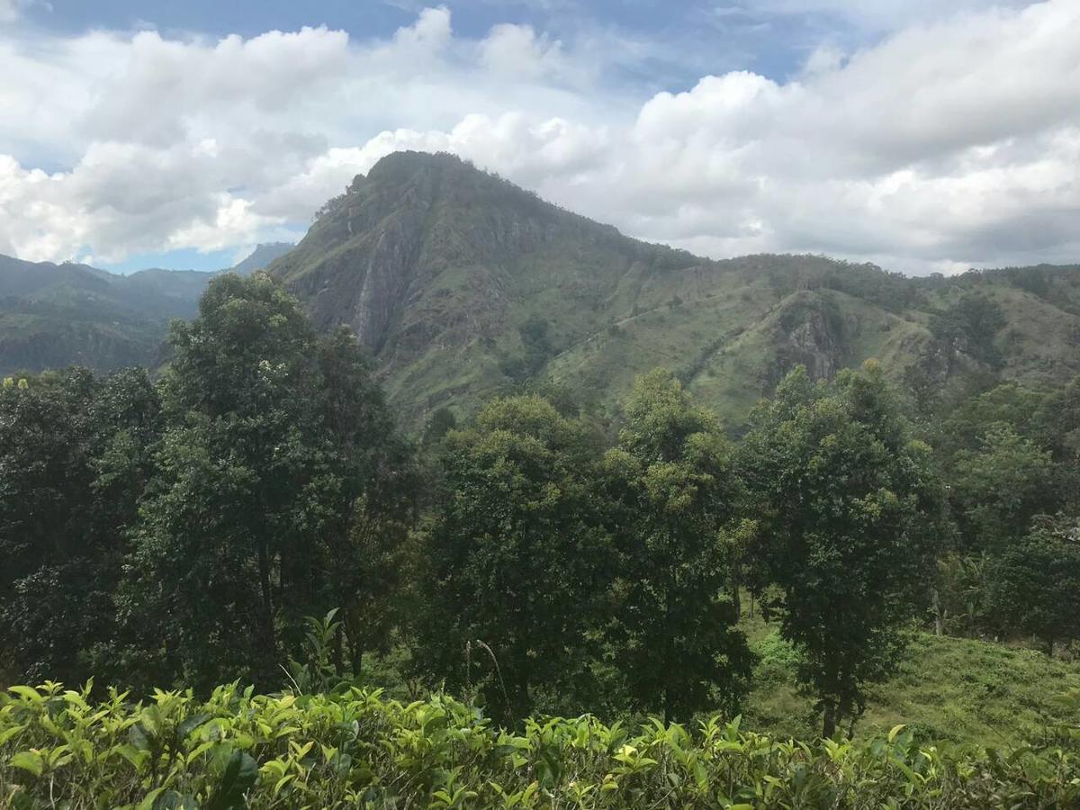 Dew Drop Resort Ella Ngoại thất bức ảnh